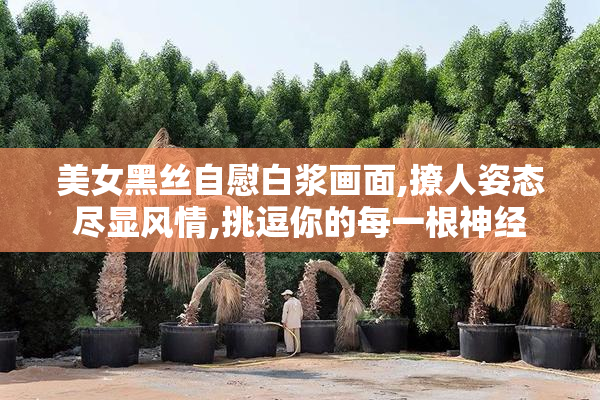 美女黑丝自慰白浆画面,撩人姿态尽显风情,挑逗你的每一根神经