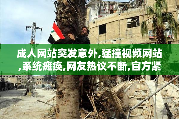 成人网站突发意外,猛撞视频网站,系统瘫痪,网友热议不断,官方紧急