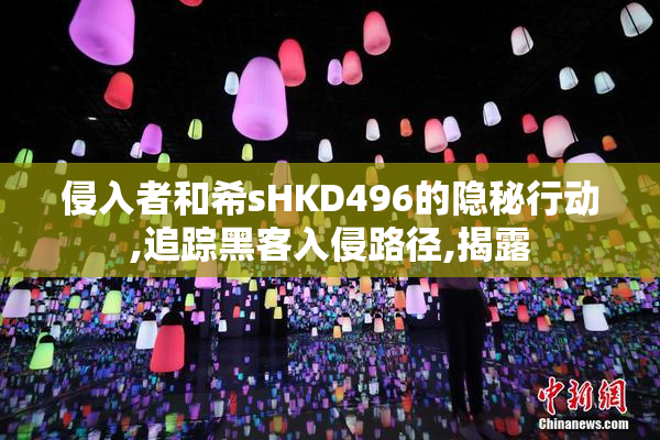 侵入者和希sHKD496的隐秘行动,追踪黑客入侵路径,揭露