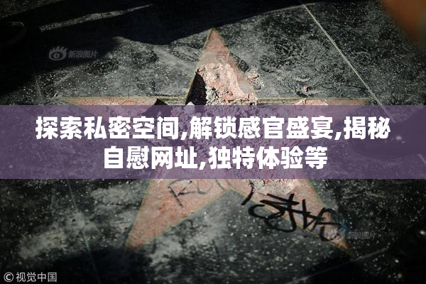 探索私密空间,解锁感官盛宴,揭秘自慰网址,独特体验等