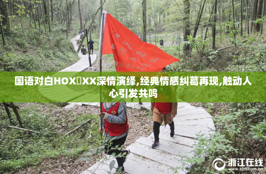 国语对白HOX乂XX深情演绎,经典情感纠葛再现,触动人心引发共鸣