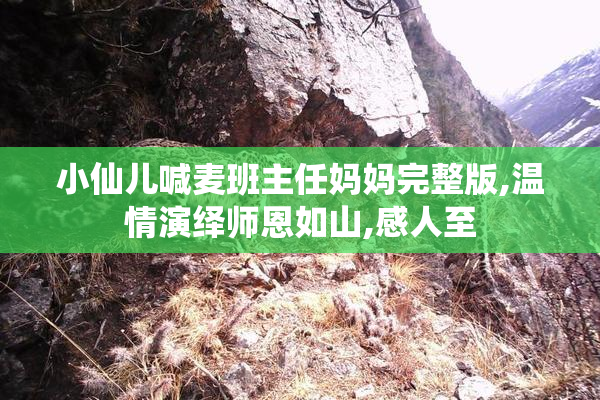 小仙儿喊麦班主任妈妈完整版,温情演绎师恩如山,感人至