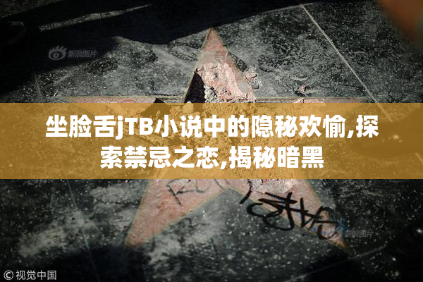 坐脸舌jTB小说中的隐秘欢愉,探索禁忌之恋,揭秘暗黑