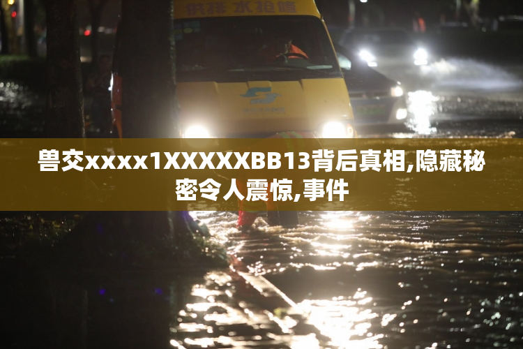 兽交xxxx1XXXXXBB13背后真相,隐藏秘密令人震惊,事件