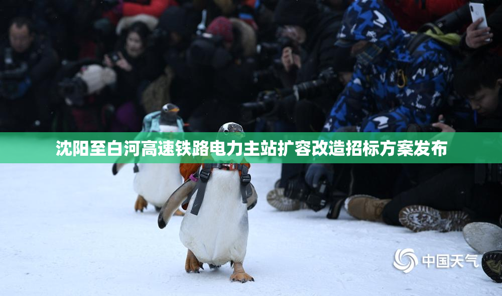 沈阳至白河高速铁路电力主站扩容改造招标方案发布