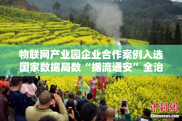 物联网产业园企业合作案例入选国家数据局数“据流通安”全治理