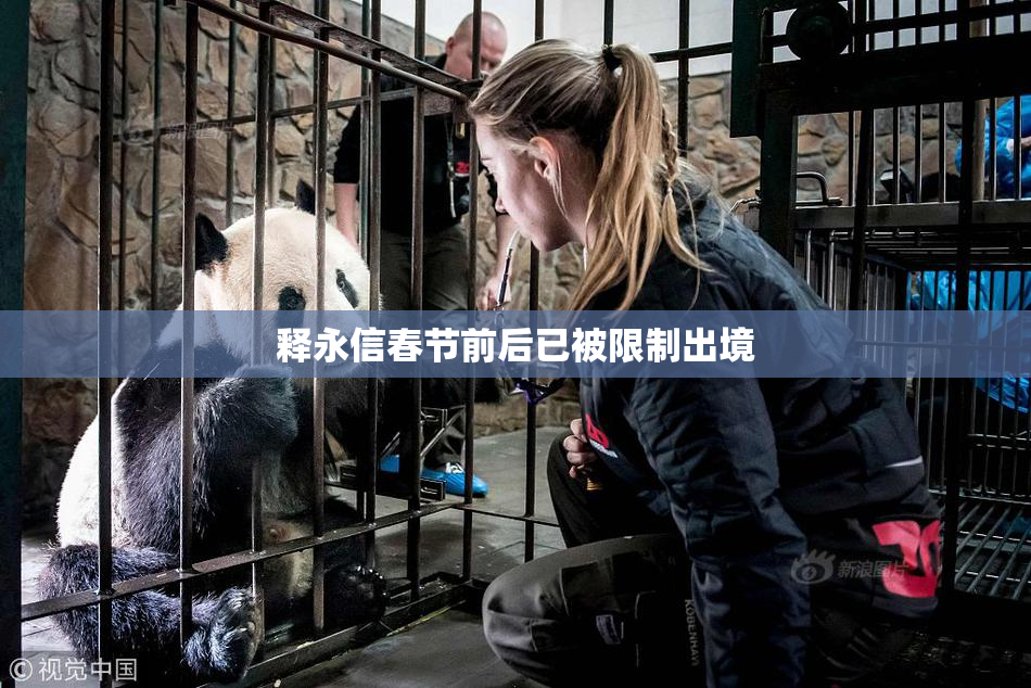 释永信春节前后已被限制出境