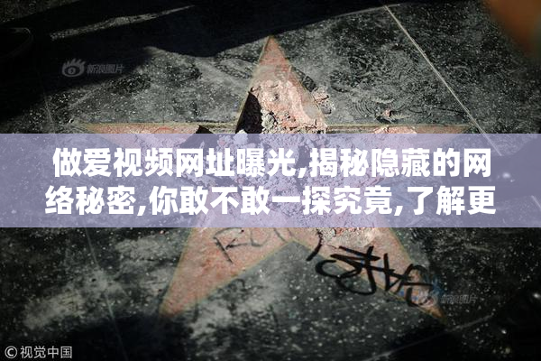 做爱视频网址曝光,揭秘隐藏的网络秘密,你敢不敢一探究竟,了解更多