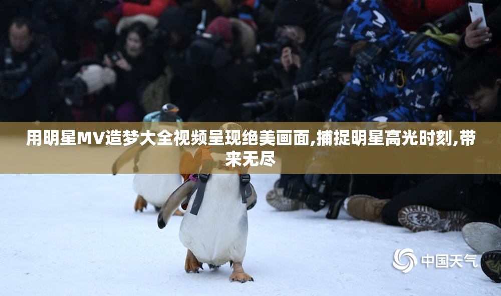 用明星MV造梦大全视频呈现绝美画面,捕捉明星高光时刻,带来无尽