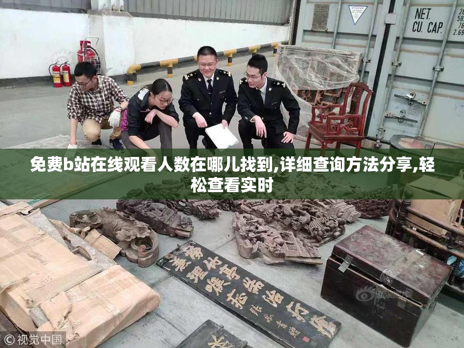 免费b站在线观看人数在哪儿找到,详细查询方法分享,轻松查看实时