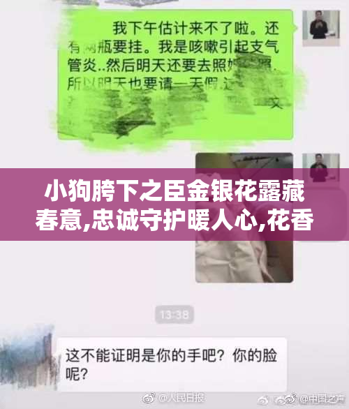 小狗胯下之臣金银花露藏春意,忠诚守护暖人心,花香四溢醉清风