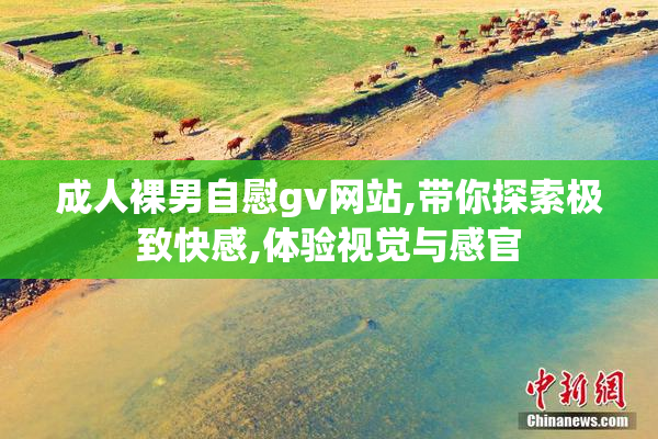 成人裸男自慰gv网站,带你探索极致快感,体验视觉与感官