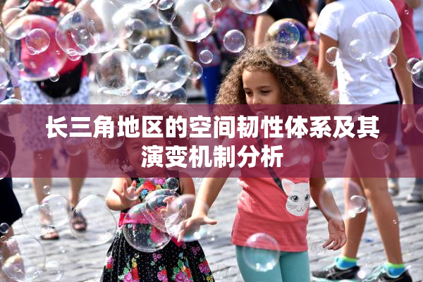 长三角地区的空间韧性体系及其演变机制分析