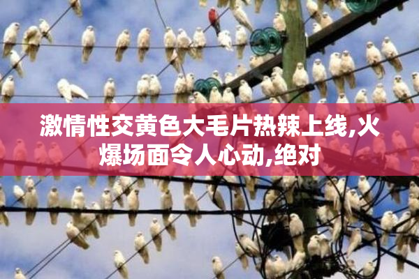 激情性交黄色大毛片热辣上线,火爆场面令人心动,绝对