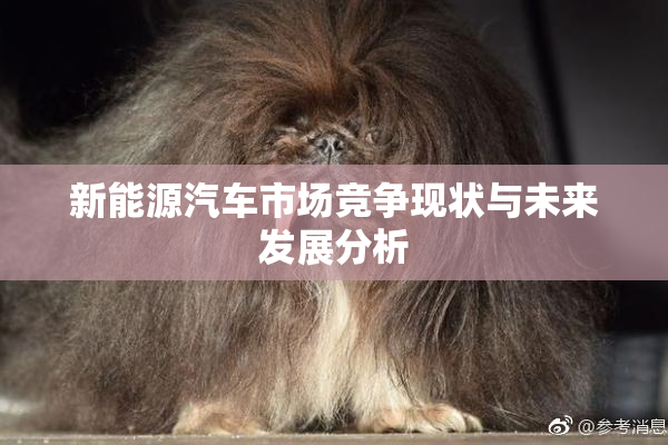新能源汽车市场竞争现状与未来发展分析