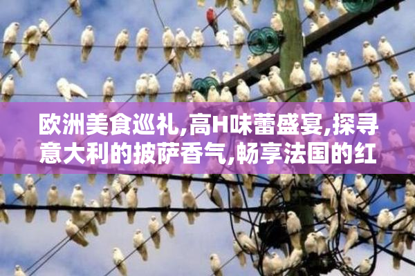 欧洲美食巡礼,高H味蕾盛宴,探寻意大利的披萨香气,畅享法国的红酒