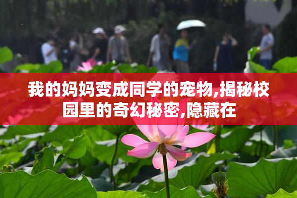 我的妈妈变成同学的宠物,揭秘校园里的奇幻秘密,隐藏在