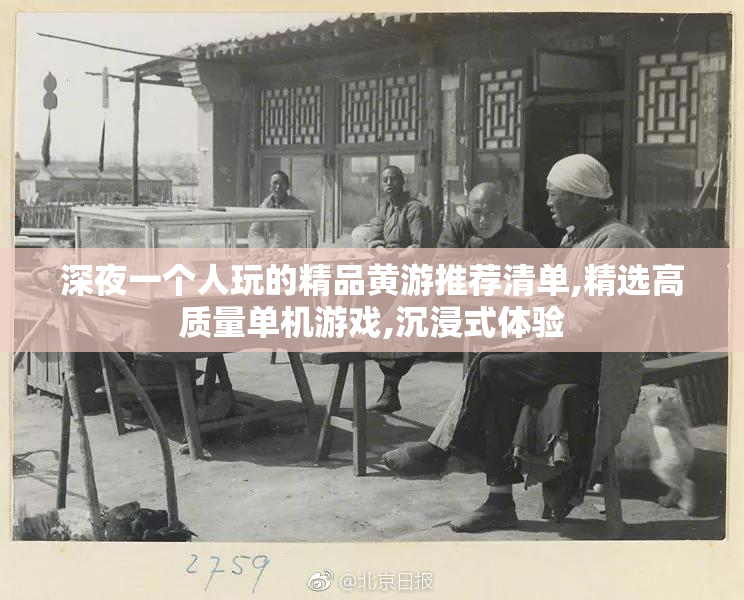 深夜一个人玩的精品黄游推荐清单,精选高质量单机游戏,沉浸式体验