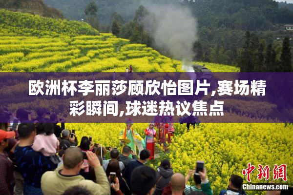 欧洲杯李丽莎顾欣怡图片,赛场精彩瞬间,球迷热议焦点