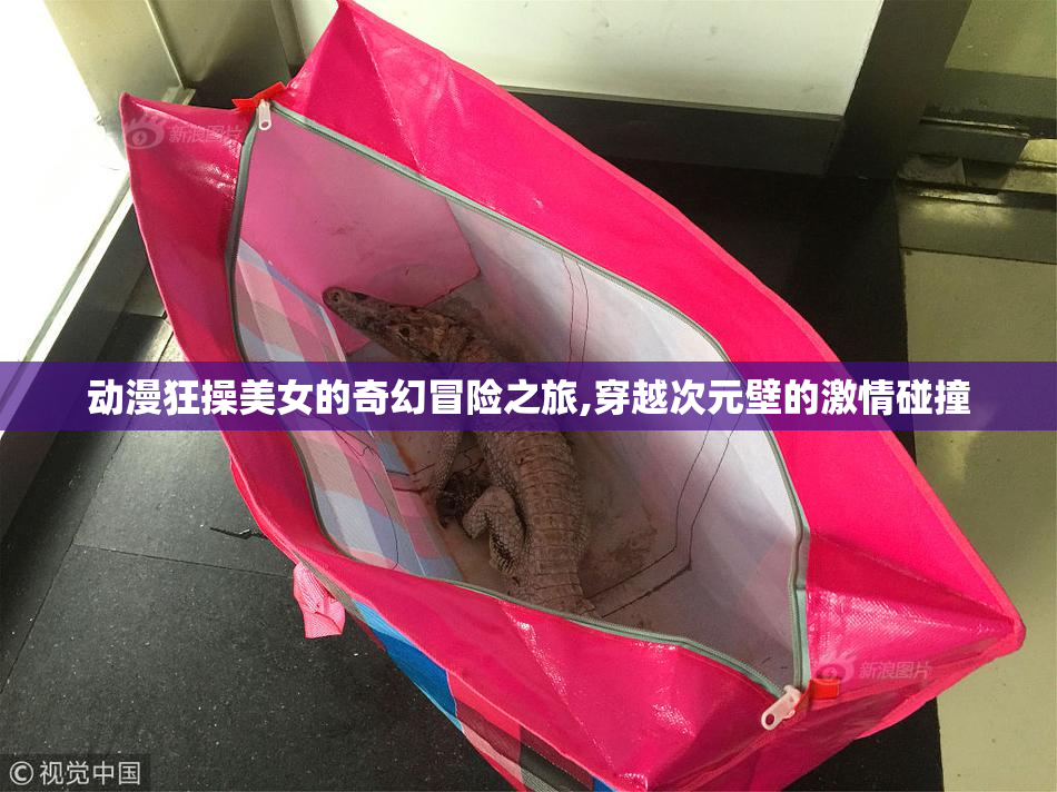 动漫狂操美女的奇幻冒险之旅,穿越次元壁的激情碰撞