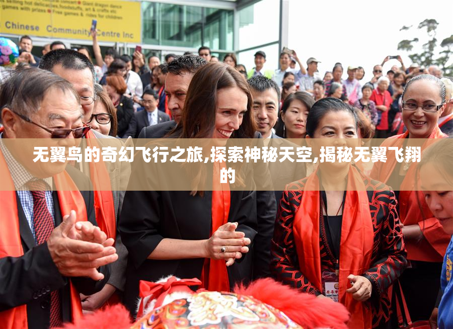 无翼鸟的奇幻飞行之旅,探索神秘天空,揭秘无翼飞翔的