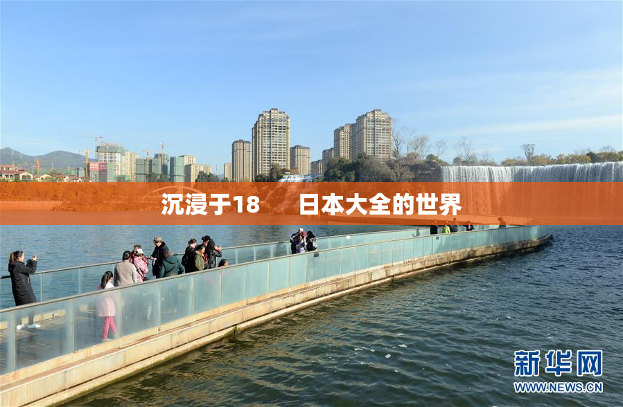 沉浸于18      日本大全的世界
