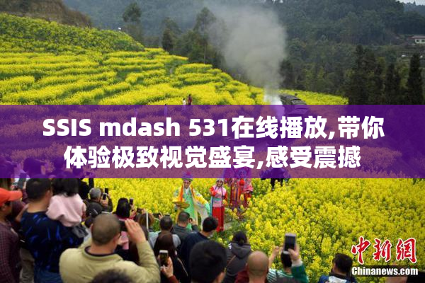 SSIS mdash 531在线播放,带你体验极致视觉盛宴,感受震撼