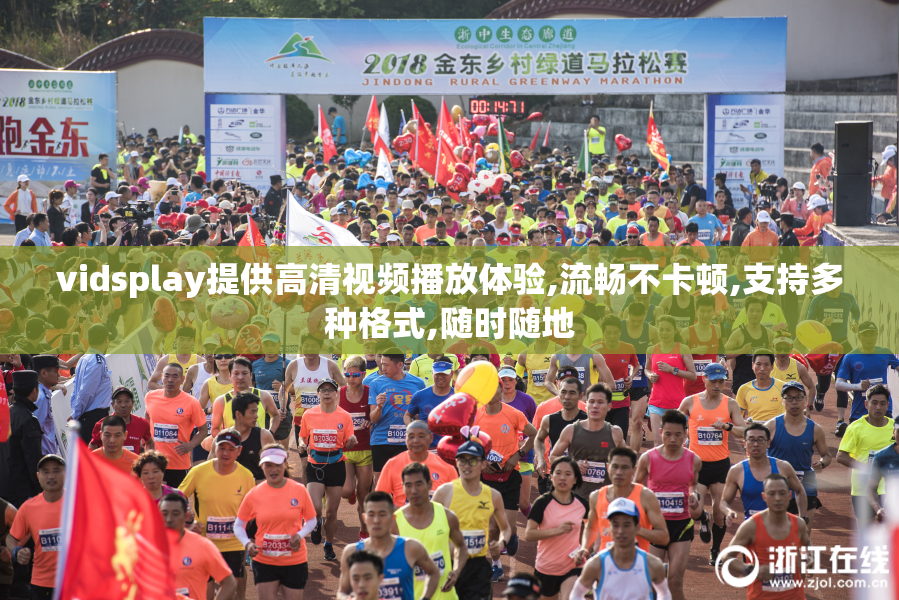 vidsplay提供高清视频播放体验,流畅不卡顿,支持多种格式,随时随地