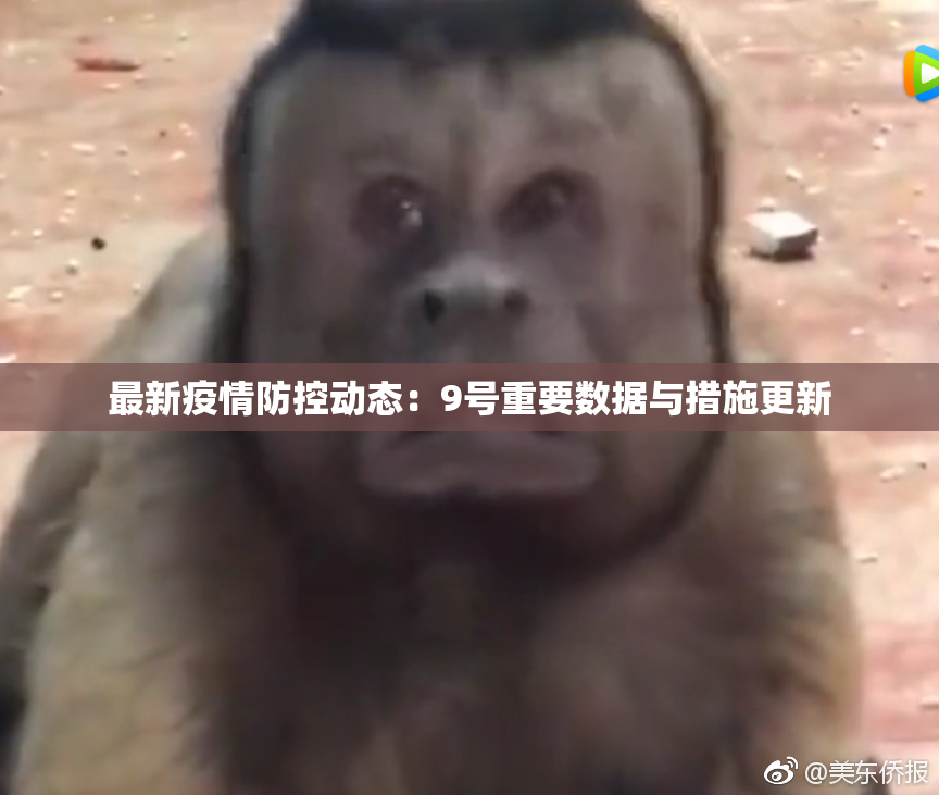 最新疫情防控动态：9号重要数据与措施更新