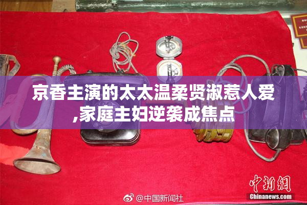 京香主演的太太温柔贤淑惹人爱,家庭主妇逆袭成焦点