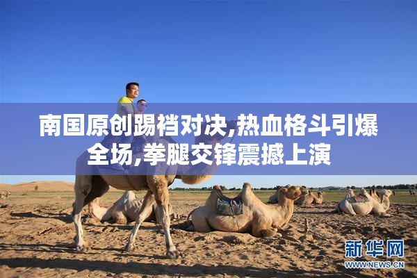 南国原创踢裆对决,热血格斗引爆全场,拳腿交锋震撼上演