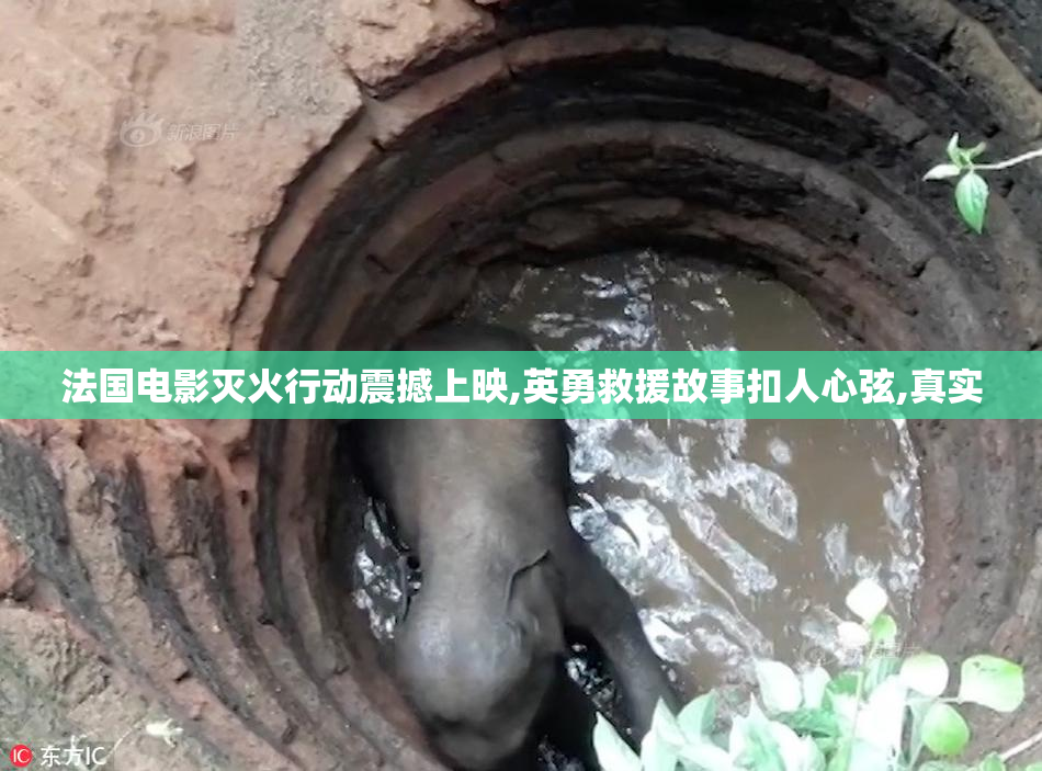 法国电影灭火行动震撼上映,英勇救援故事扣人心弦,真实