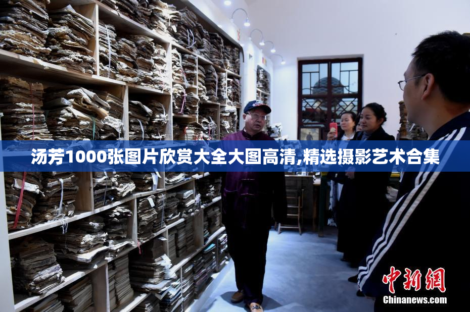 汤芳1000张图片欣赏大全大图高清,精选摄影艺术合集
