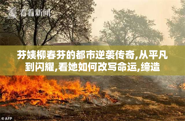芬姨柳春芬的都市逆袭传奇,从平凡到闪耀,看她如何改写命运,缔造