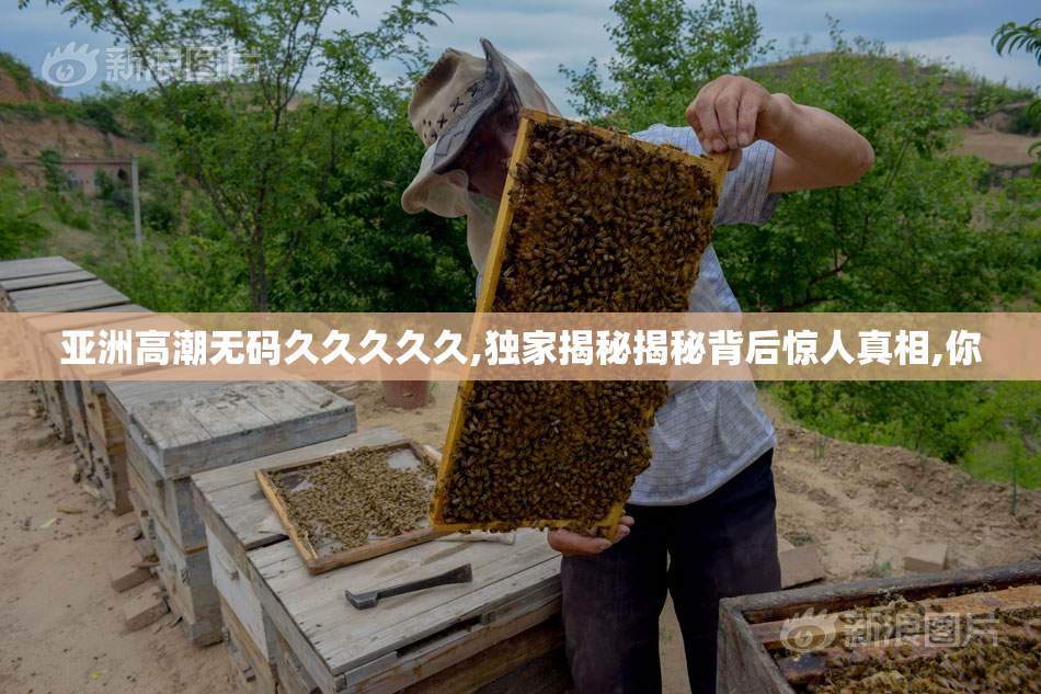 亚洲高潮无码久久久久久,独家揭秘揭秘背后惊人真相,你