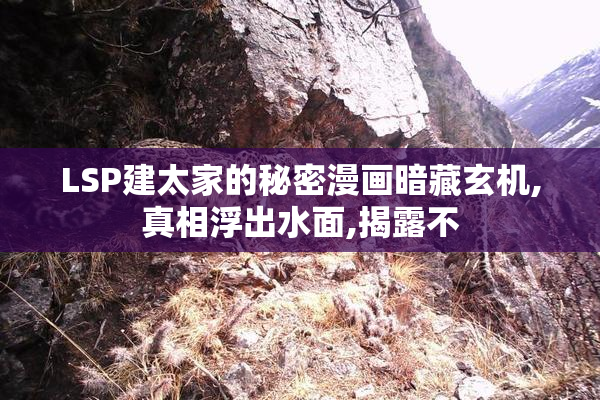 LSP建太家的秘密漫画暗藏玄机,真相浮出水面,揭露不