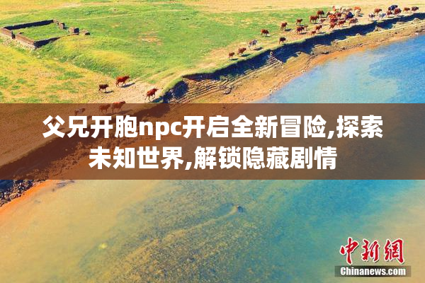 父兄开胞npc开启全新冒险,探索未知世界,解锁隐藏剧情