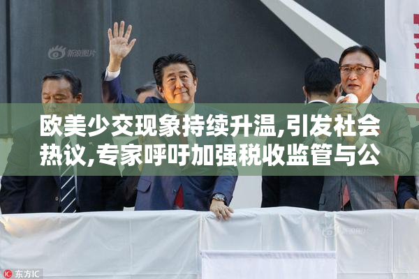 欧美少交现象持续升温,引发社会热议,专家呼吁加强税收监管与公平性