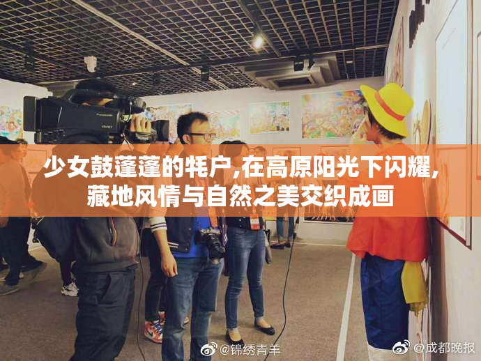 少女鼓蓬蓬的牦户,在高原阳光下闪耀,藏地风情与自然之美交织成画