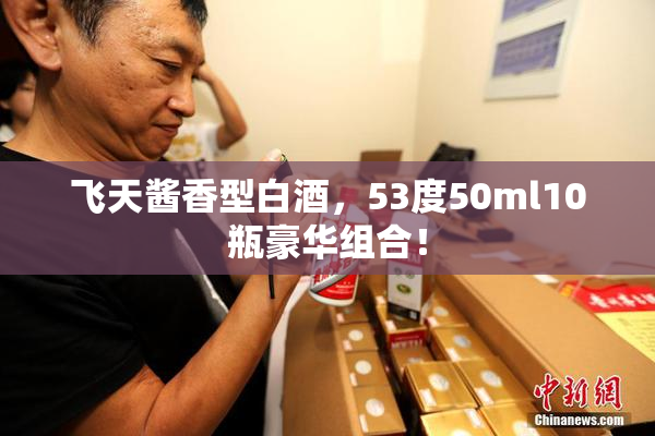 飞天酱香型白酒，53度50ml10瓶豪华组合！