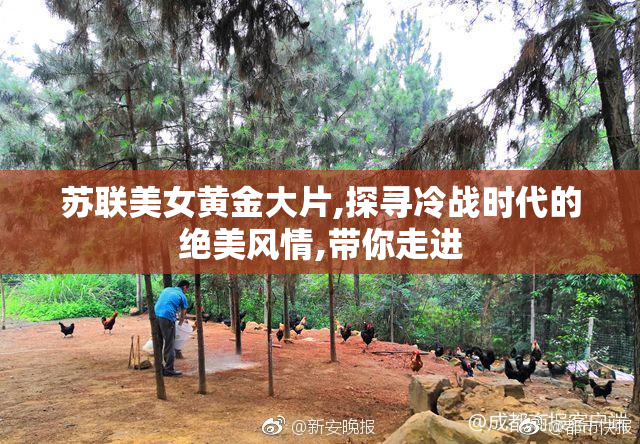 苏联美女黄金大片,探寻冷战时代的绝美风情,带你走进