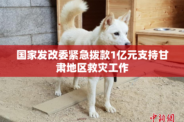 国家发改委紧急拨款1亿元支持甘肃地区救灾工作