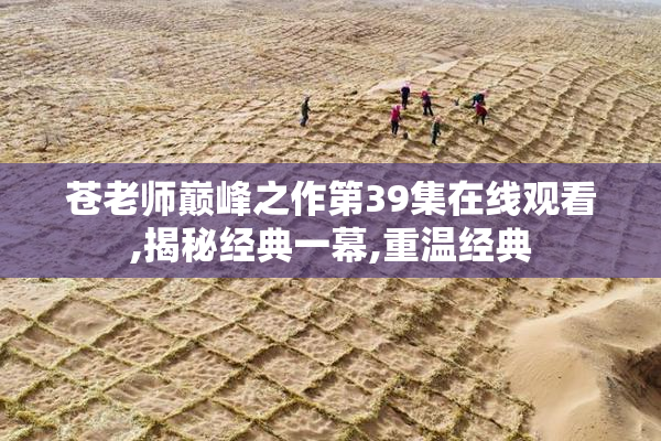 苍老师巅峰之作第39集在线观看,揭秘经典一幕,重温经典