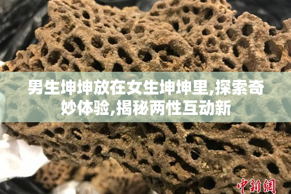 男生坤坤放在女生坤坤里,探索奇妙体验,揭秘两性互动新