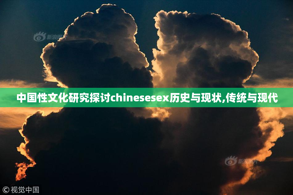 中国性文化研究探讨chinesesex历史与现状,传统与现代