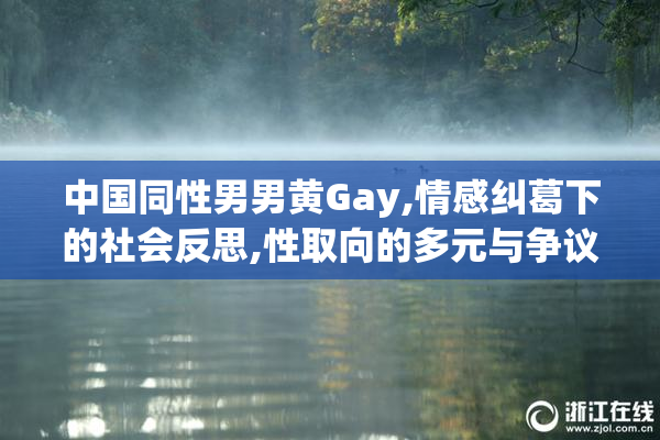中国同性男男黄Gay,情感纠葛下的社会反思,性取向的多元与争议