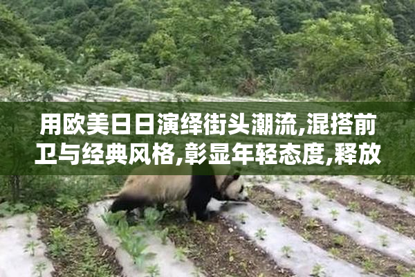 用欧美日日演绎街头潮流,混搭前卫与经典风格,彰显年轻态度,释放