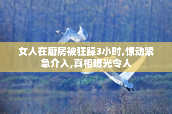 女人在厨房被狂躁3小时,惊动紧急介入,真相曝光令人