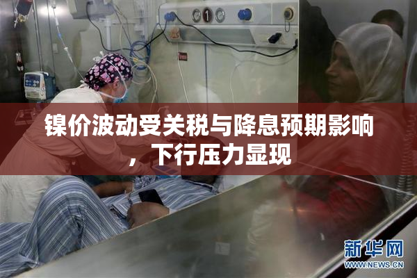 镍价波动受关税与降息预期影响，下行压力显现