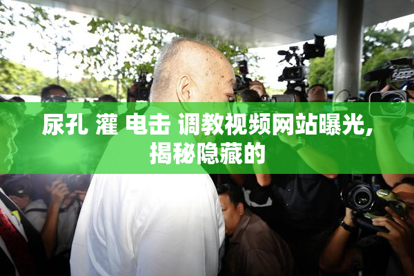 尿孔 灌 电击 调教视频网站曝光,揭秘隐藏的